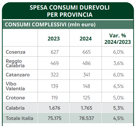 Cresce in Calabria la spesa in beni durevoli. Vibo Valentia è la prima provincia in regione, la decima in Italia 3 Province Calabria