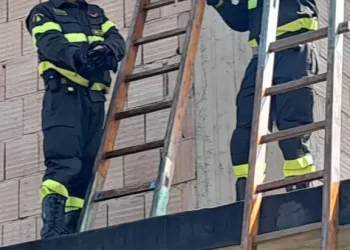 I Vigili del Fuoco salvano una civetta a Mileto