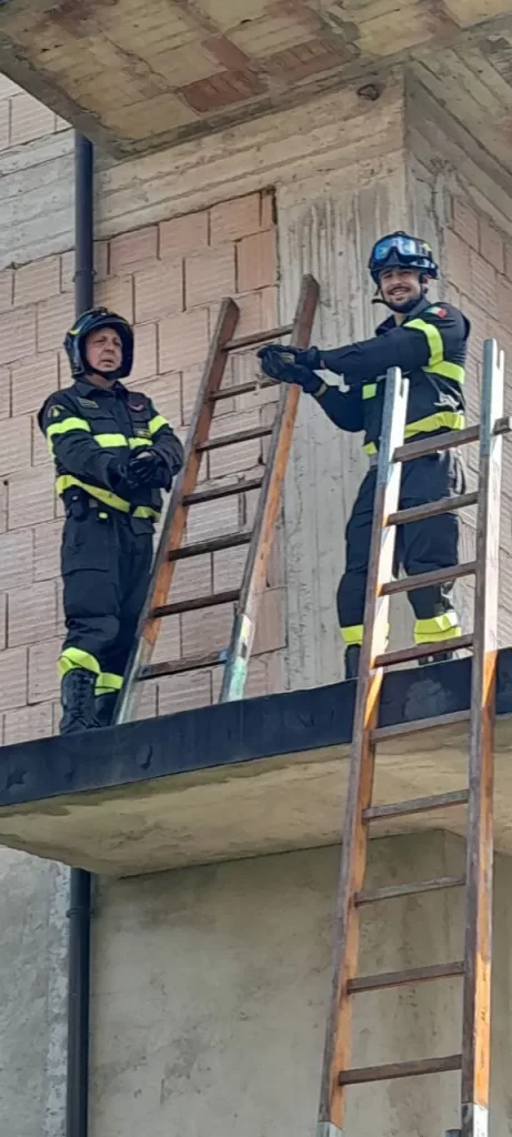 Vigili del Fuoco Vibo Valentia liberata civetta a Mileto.jpeg