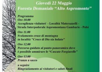 Giornata Mondiale della Biodiversità: aperta anche Foresta Demaniale “Alto Aspromonte”