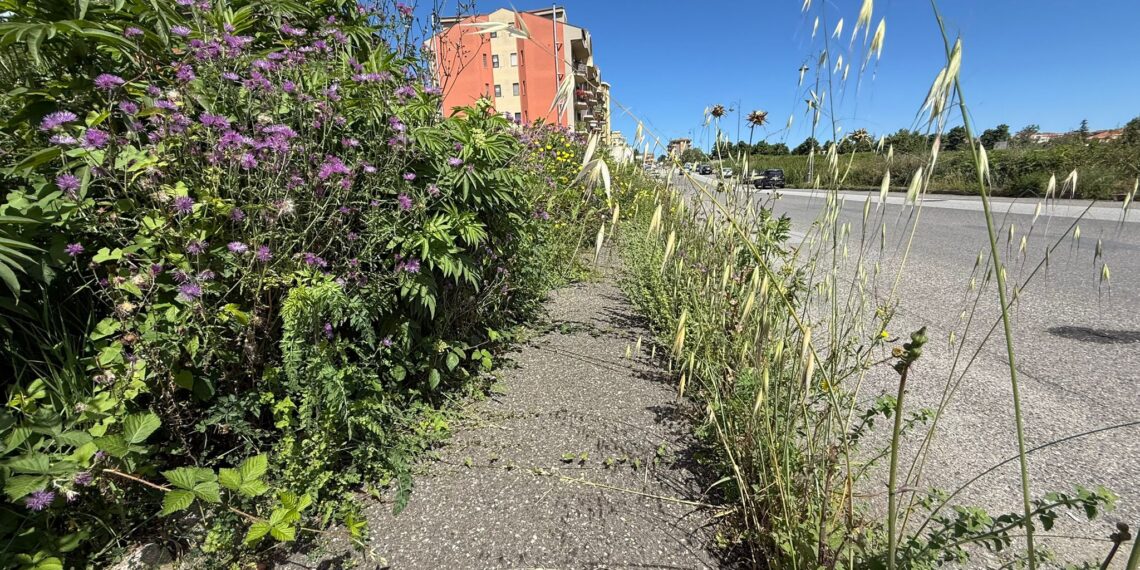 Moderata Durant, marciapiedi nel degrado e strade invase dall’erba: la città abbandonata a se stessa