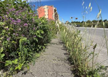 Moderata Durant, marciapiedi nel degrado e strade invase dall’erba: la città abbandonata a se stessa