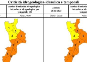 Maltempo in Calabria: scuole chiuse in molti centri e disagi per il traffico ferroviario
