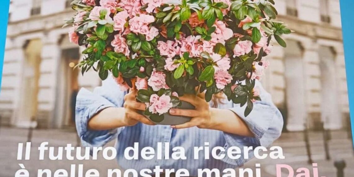 L’Azalea della Ricerca sboccia anche a Serra San Bruno: questa mattina appuntamento con la solidarietà