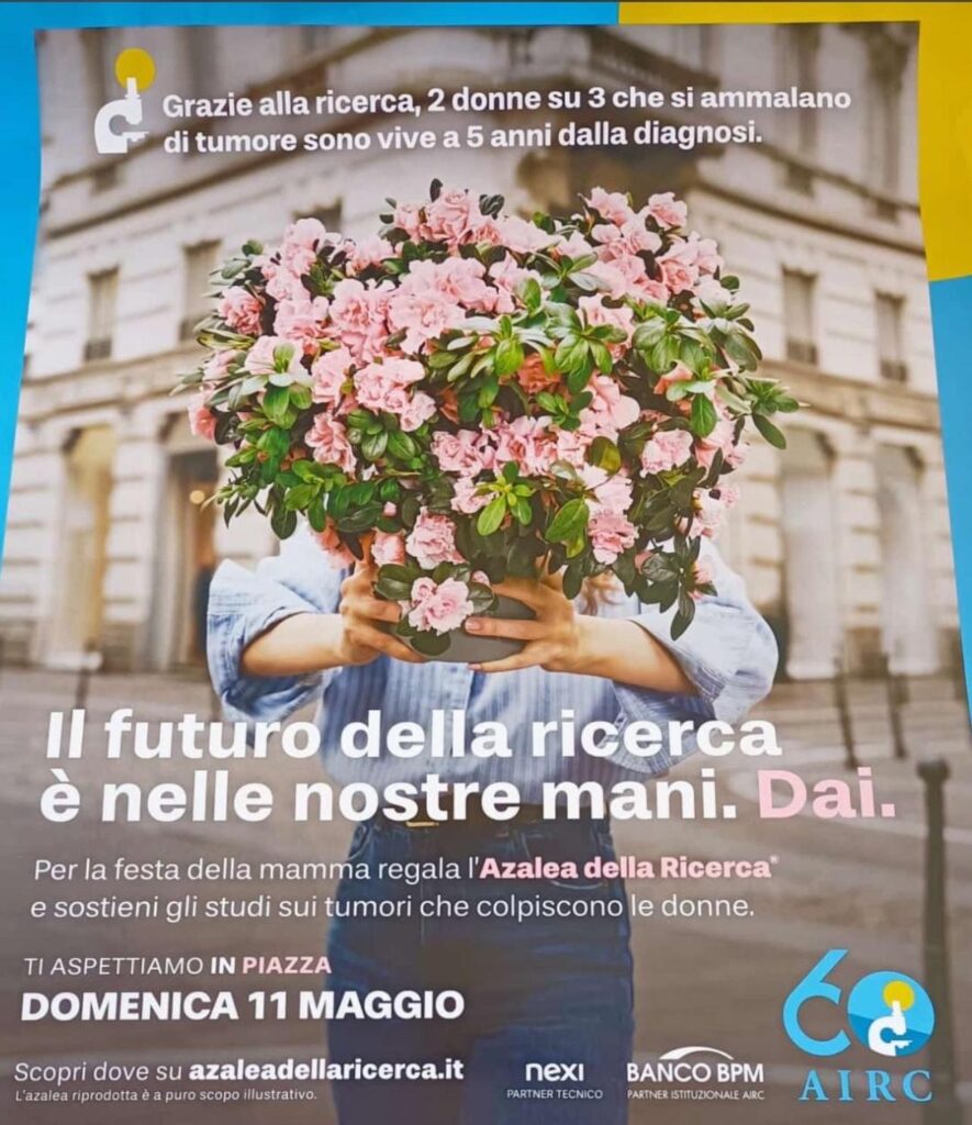 L’Azalea della Ricerca sboccia anche a Serra San Bruno: questa mattina appuntamento con la solidarietà 3 f5ecfae5 cb04 46e8 ad04 f6577b5088eb