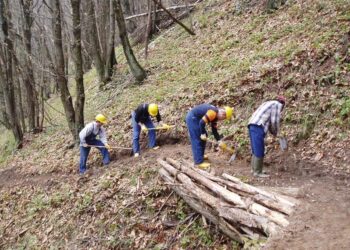 Calabria Verde verso il risanamento. Lo conferma Comito che assicura: nessuna cassa integrazione