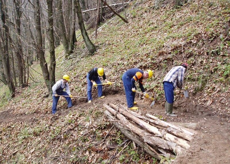 Calabria Verde verso il risanamento. Lo conferma Comito che assicura: nessuna cassa integrazione
