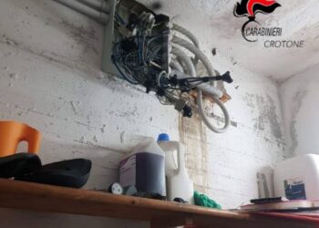 Imprenditore di un villaggio turistico arrestato per futo di energia