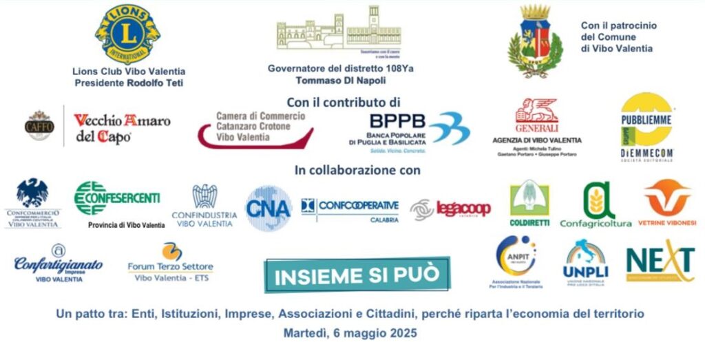 locandina insieme si puo