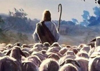 Don Fiorillo: Chi segue il “Pastore bello” non si perde…