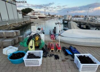 Bracconieri sorpresi nella notte a depredare ricci di mare sulla Costa degli Dei, sequestrate attrezzature e pescato