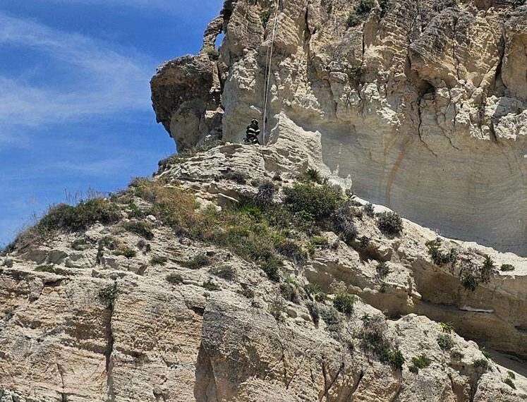 Baia di Riaci, delicata operazione dei Vigili del Fuoco per il recupero di una capra