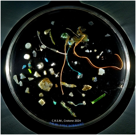 5 giugno, Giornata Mondiale dell’Ambiente: Arpacal presenta i dati sul monitoraggio delle microplastiche in mare 6 00304FIK