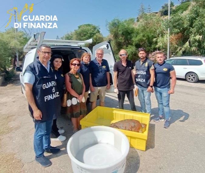 Tartaruga marina spiaggiata salvata dagli uomini del ROAN 3 17062025 102403 foto 1