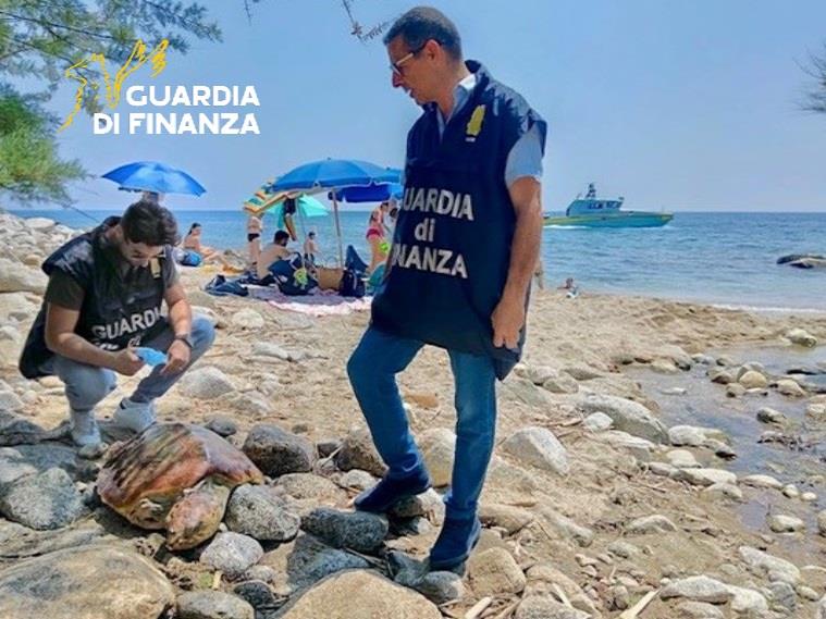 Tartaruga marina spiaggiata salvata dagli uomini del ROAN 4 17062025 102434 foto 3