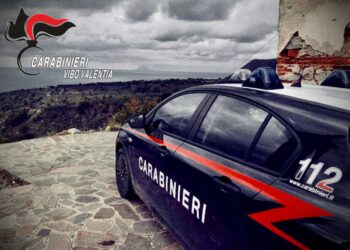 Sorpreso a incendiare della sterpaglia: denunciato