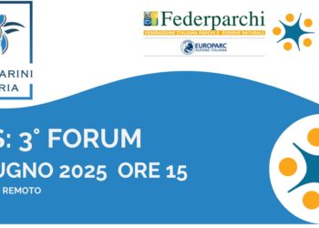 Parchi Marini Regionali della Calabria, oggi 3° Forum (da remoto) verso la Carta Europea del Turismo Sostenibile 10 Parchi Marini Regionali della Calabria, oggi 3° Forum (da remoto) verso la Carta Europea del Turismo Sostenibile