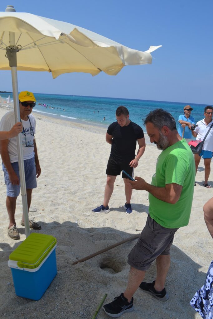 Trovato nelle spiagge di Ricadi il primo nido di tartaruga marina della stagione 4 DSC 0222
