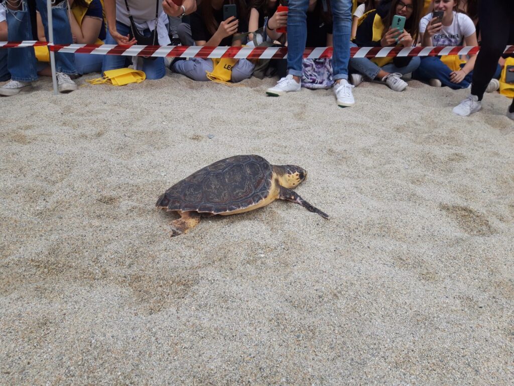 Il Circolo Legambiente Ricadi e l’Istituto “P. Galluppi” di Tropea insieme per la tutela dell’acqua 11 IMG 20230527 WA0062
