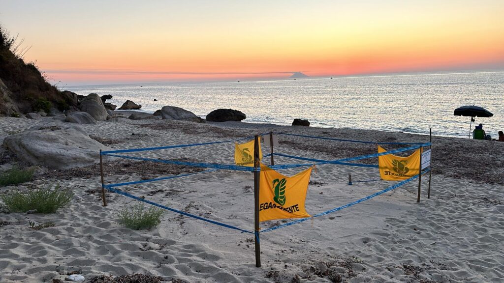 “Sea Turtle Friendly Beaches”, un seminario in programma alla Greenstation di Santa Domenica 3 IMG 20240811 WA0033