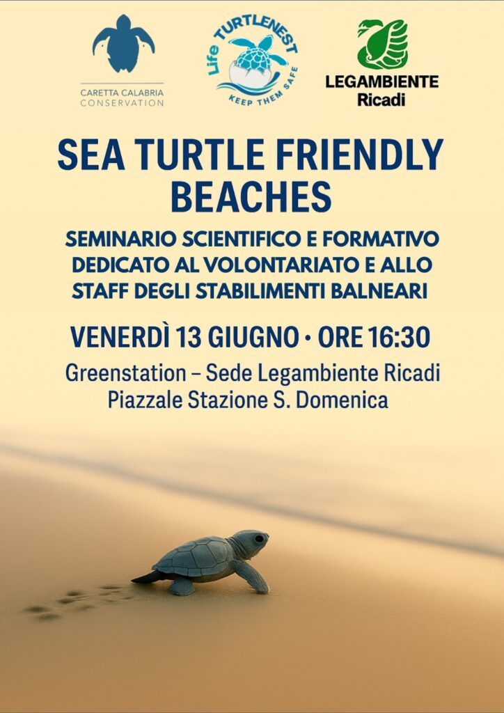 “Sea Turtle Friendly Beaches”, un seminario in programma alla Greenstation di Santa Domenica 5 IMG 20250606 WA0041