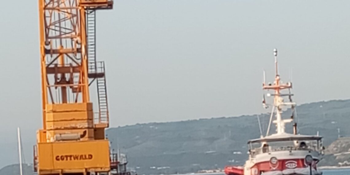 Sbarco di migranti nel porto di Vibo Marina, 11 sono minori 1 Sbarco di migranti nel porto di Vibo Marina, 11 sono minori