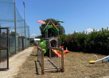 Rifiuti abbandonati in contrada Vaccaro, l’assessore Miceli dispone la bonifica 6 Rifiuti abbandonati in contrada Vaccaro, l’assessore Miceli dispone la bonifica