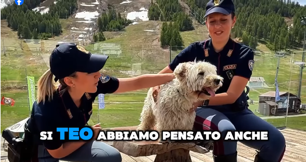 SPOT POLIZIA DI STATO
