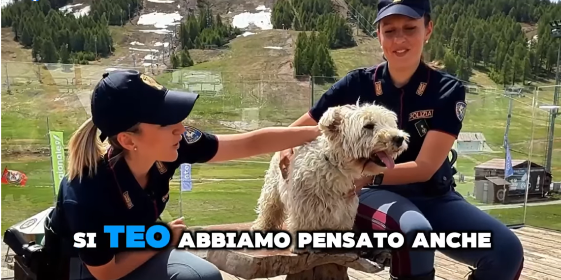 Online il nuovo spot della Polizia contro l'abbandono dei cani (VIDEO) 1 Online il nuovo spot della Polizia contro l’abbandono dei cani (VIDEO)