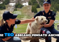 Online il nuovo spot della Polizia contro l’abbandono dei cani (VIDEO)
