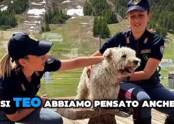 Online il nuovo spot della Polizia contro l’abbandono dei cani (VIDEO)
