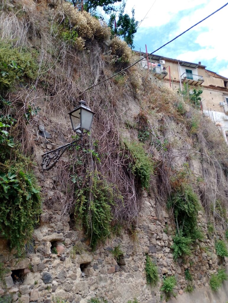 Centro storico di Rossano, via Cairoli nel degrado totale. La denuncia del Movimento del Territorio: cittadini abbandonati 5 VIA CAIROLI ROSSANO 3