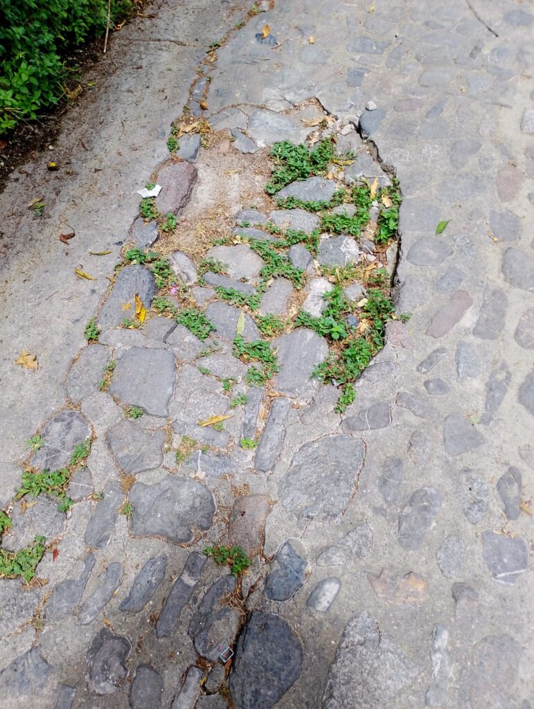 Centro storico di Rossano, via Cairoli nel degrado totale. La denuncia del Movimento del Territorio: cittadini abbandonati 4 VIA CAIROLI ROSSANO 4