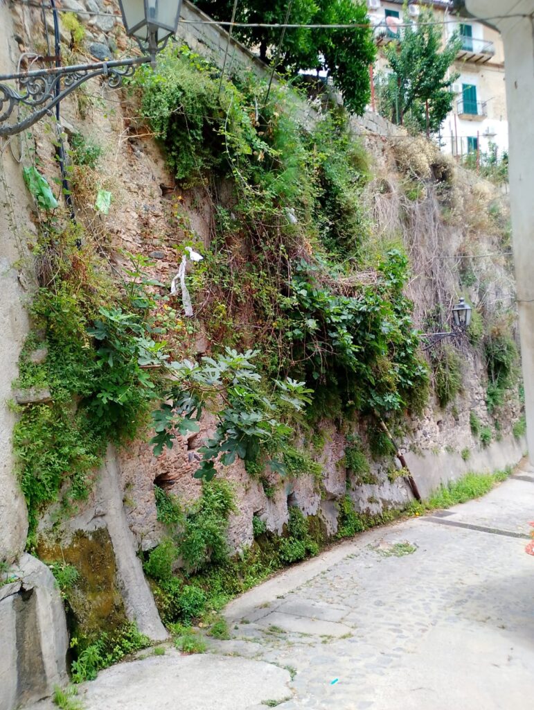 Centro storico di Rossano, via Cairoli nel degrado totale. La denuncia del Movimento del Territorio: cittadini abbandonati 3 VIA CAIROLI ROSSANO 5