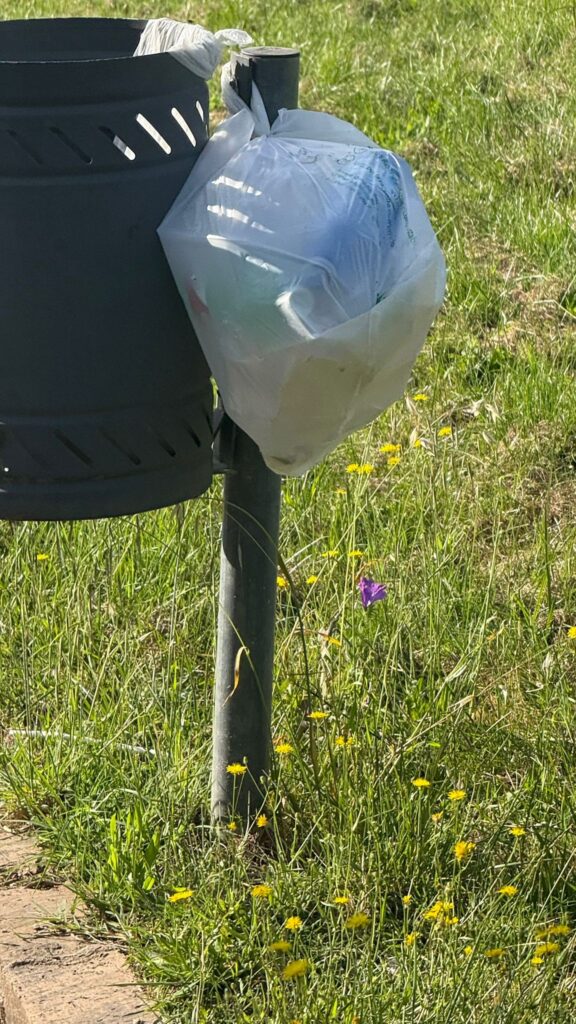 Parco Urbano di Moderata Durant, il protocollo firmato col Parco delle Serre non sia un alibi: serve programmazione 6 WhatsApp Image 2025 06 07 at 08.33.44 1