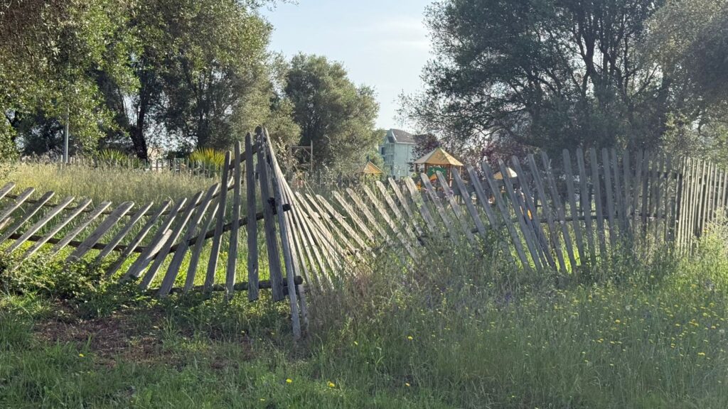 Parco Urbano di Moderata Durant, il protocollo firmato col Parco delle Serre non sia un alibi: serve programmazione 3 WhatsApp Image 2025 06 07 at 08.33.44 3