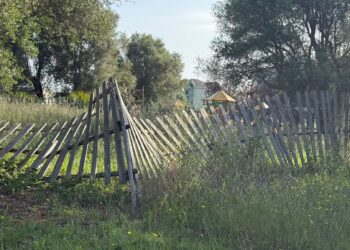 Parco Urbano di Moderata Durant, il protocollo firmato col Parco delle Serre non sia un alibi: serve programmazione