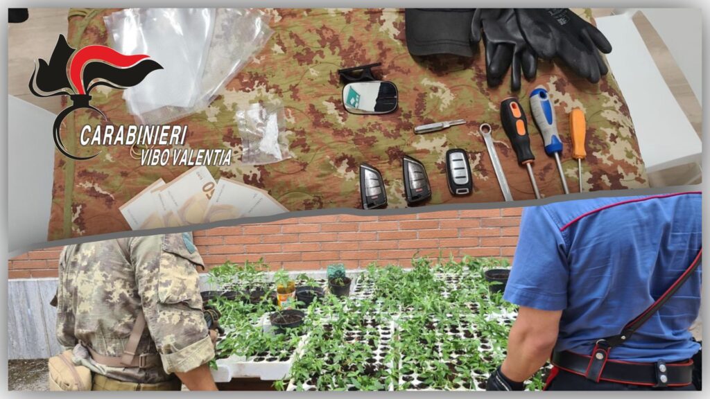 Droga, due operazioni in 24 ore: i carabinieri stringono il cerchio 3 WhatsApp Image 2025 06 20 at 17.32.41