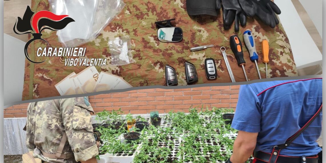 Droga, due operazioni in 24 ore: i carabinieri stringono il cerchio 1 Droga, due operazioni in 24 ore: i carabinieri stringono il cerchio