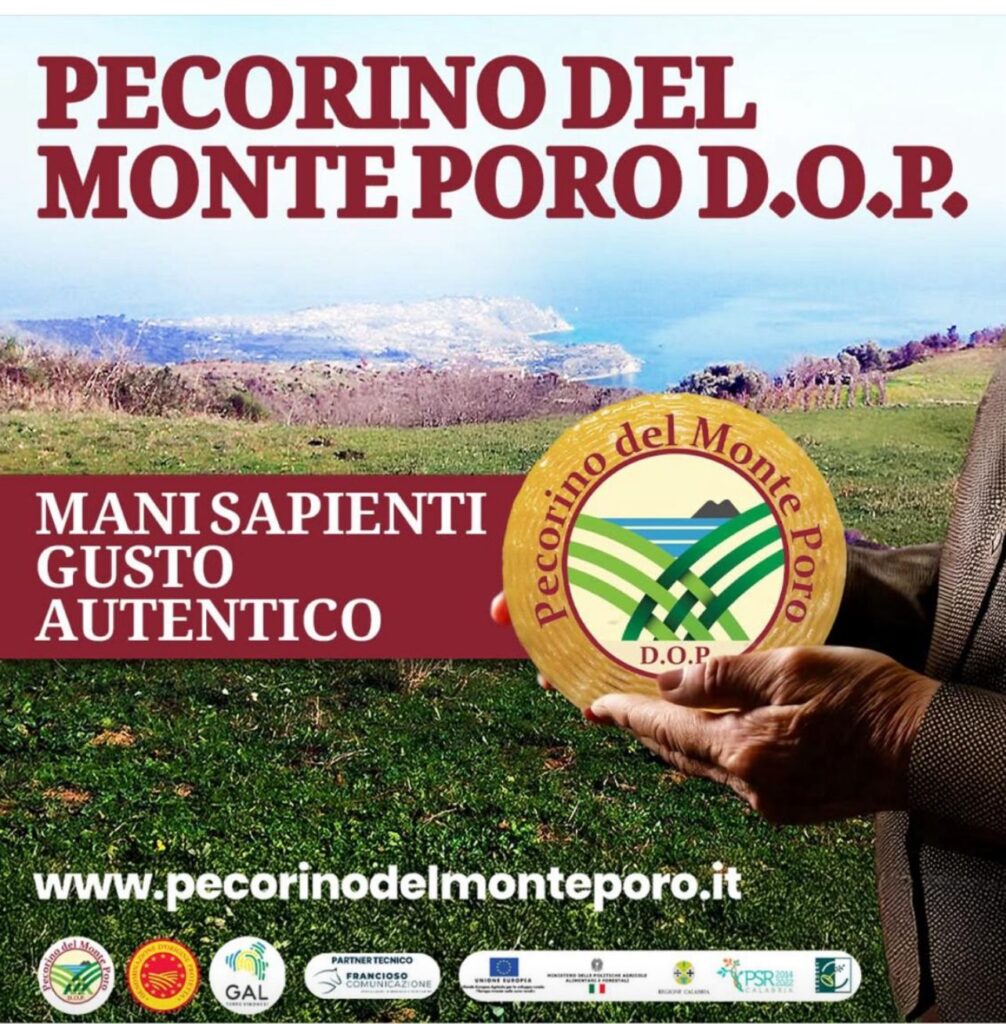 Il Pecorino Monte Poro DOP si presenta alla comunità, l'evento domani a Vibo Valentia 4 WhatsApp Image 2025 06 23 at 09.42.31