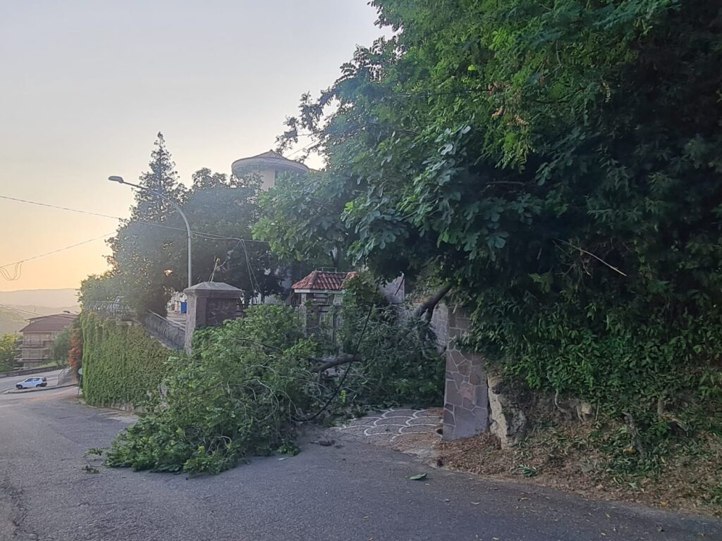 Tragedia sfiorata nel centro di Monterosso, la gente grida al "miracolo"! 3 WhatsApp Image 2025 06 27 at 11.32.47 1