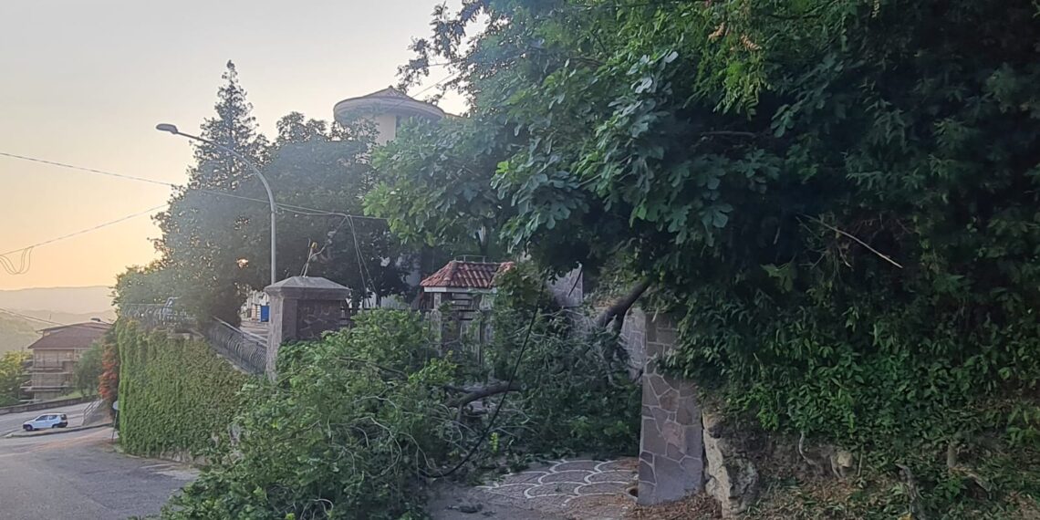 Tragedia sfiorata nel centro di Monterosso, la gente grida al "miracolo"! 1 Tragedia sfiorata nel centro di Monterosso, la gente grida al “miracolo”!
