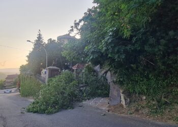 Tragedia sfiorata nel centro di Monterosso, la gente grida al “miracolo”!