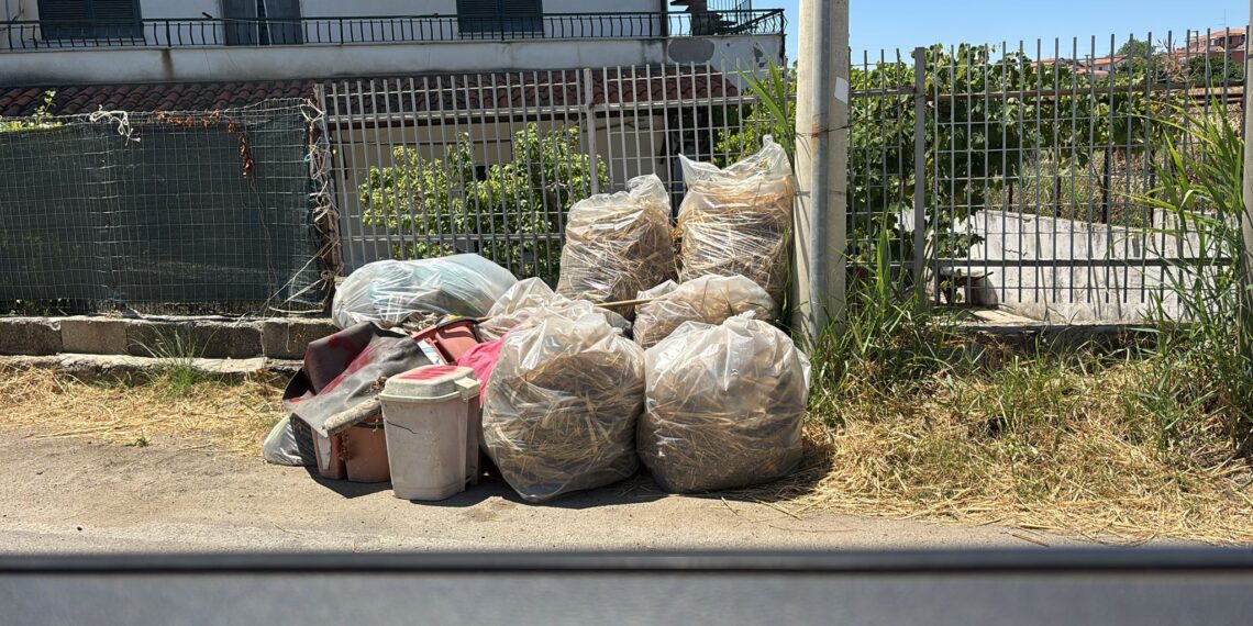 Lordazzi scatenati, Briatico sotto assedio: si distrugge l'immagine di una città che potrebbe vivere di turismo (foto) 1 Lordazzi scatenati, Briatico sotto assedio: si distrugge l’immagine di una città che potrebbe vivere di turismo (foto)
