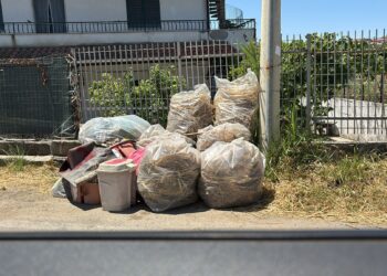 Lordazzi scatenati, Briatico sotto assedio: si distrugge l'immagine di una città che potrebbe vivere di turismo (foto) 3 Lordazzi scatenati, Briatico sotto assedio: si distrugge l’immagine di una città che potrebbe vivere di turismo (foto)