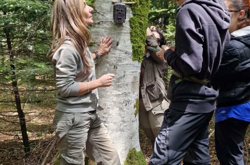 Parco delle Serre, al via il monitoraggio del gatto selvatico