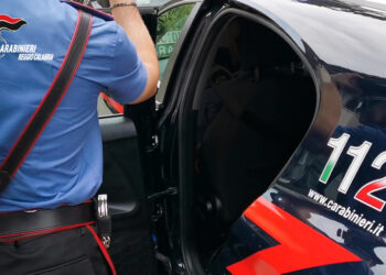 Rosarno, scoperto minimarket abusivo: denunciata una donna per gravi violazioni igienico-sanitarie