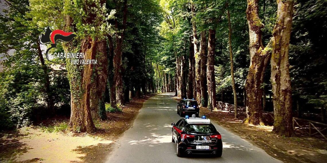 i Carabinieri denunciano tre persone a Serra San Bruno 1 i Carabinieri denunciano tre persone a Serra San Bruno