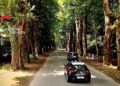 i Carabinieri denunciano tre persone a Serra San Bruno