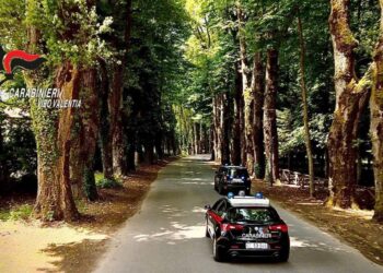 i Carabinieri denunciano tre persone a Serra San Bruno